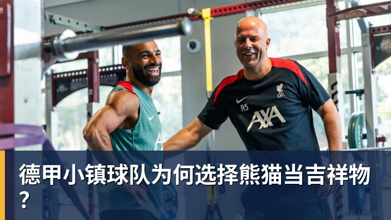 华体会体育德甲小镇球队为何选择熊猫当吉祥物？