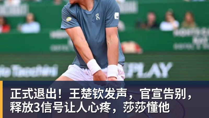 华体会体育正式退出!王楚钦发声,官宣告别,释放3信号让人心疼,莎莎懂他